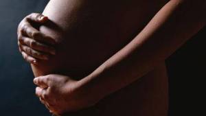 Gravidanza La vita intrauterina