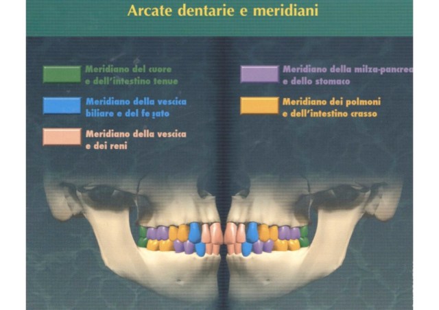 arcate e meridiani