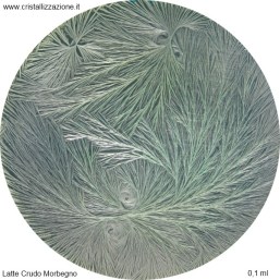 k_latte_crudo_morbegno_0,1_small