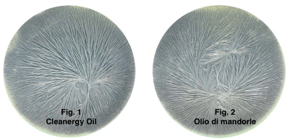 Fig 1 Cleanergy Oil Fig. 2 Olio mandorle