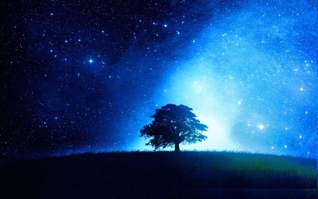 albero-solitario-siluetta-dalbero-cielo-stellato-bagliore-209630