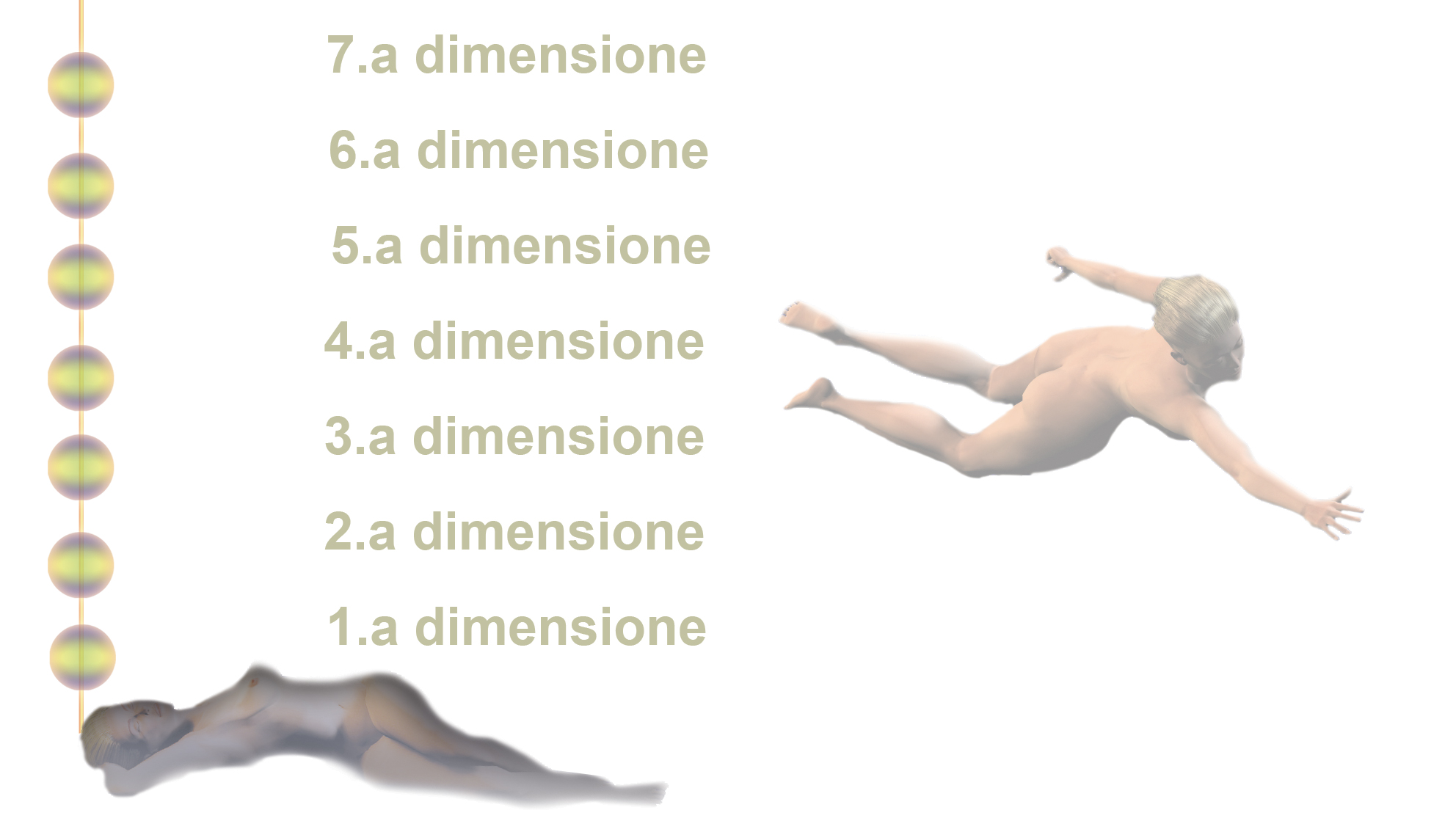 dimenzioni